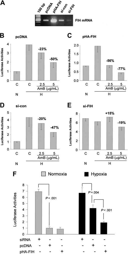 Figure 5. HIF-1α repression by amphotericin B requires FIH. (A) FIH mRNA levels. FIH overexpression and suppression by siRNA were evaluated by RT-PCR method. (B-C) Augmentation of the AmB-induced CAD repression by FIH expression. The plasmid (0.2 μg) for pcDNA or HA-tagged FIH was cotransfected with Gal4-CAD and Gal4-luc reporter plasmids into Hep3B cells. After incubation under normoxic (N) or hypoxic (H) conditions for 16 hours with AmB, luciferase activities were measured. (D-E) Abolishment of the AmB-induced CAD repression by knocking down FIH. siRNA (20 nM) of control (si-con) or FIH (si-FIH) was cotransfected with Gal4-CAD and Gal4-luc reporter plasmids into Hep3B cells. After normoxic or hypoxic incubation with AmB for 16 hours, luciferase activities were measured. (F) Status of FIH activity under normoxic or hypoxic conditions. FIH siRNA (20 nM), pcDNA (0.2 μg), or pHA-FIH (0.2 μg) was cotransfected with Gal4-CAD and Gal4-luc reporter plasmids into Hep3B cells. After normoxic or hypoxic incubation for 16 hours, luciferase activities were measured. Results are quoted as relative values versus the normoxic value in pcDNA-transfected cells and are the means ± SD of 8 experiments. The averages of inhibition percent versus the hypoxic control or P values versus the pcDNA control are presented in the figures.