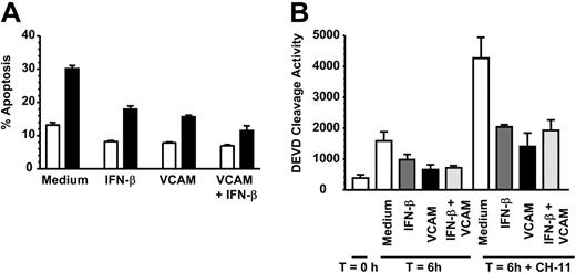 Figure 2. VCAM-1 inhibits FAS-induced neutrophil apoptosis. (A) Neutrophils were incubated with 10 μg/mL sVCAM-1, 1000 U/mL IFN-β, or both together in the absence (□) or presence (▪) of 50 ng/mL CD95 antagonist antibody CH-11 for 6 hours and apoptosis measured by DiOC6 staining. Data are the mean ± SD of 3 separate experiments. (B) Caspase 3 activation was measured in freshly isolated neutrophils (T = 0) or neutrophils incubated for 6 hours in medium alone (□) or presence of 1000 U/mL IFN-β (▪), 10 μg/mL soluble VCAM-1 (▪), or both together (▪) with or without 50 ng/mL of the CD95 activating antibody CH-11. Data are the mean ± SD of 3 separate experiments.
