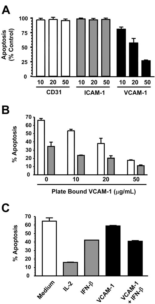 Figure 3. VCAM-1 inhibits neutrophil but not lymphocyte apoptosis. (A) CD31, ICAM-1, and VCAM-1 were immobilized at the concentrations shown (micrograms per milliliter) and neutrophils added for 18 hours before apoptosis was measured by DiOC6 staining. Results are expressed as the percentage of apoptotic neutrophils compared with neutrophils cultured in medium alone; mean ± SD of 3 separate experiments. (B) VCAM-1 was immobilized in a 96-well plate, and neutrophils were added in the absence (□) or presence (▪) of 1000 U/mL IFN-β. After 18 hours, apoptosis was measured by DiOC6 staining. (C) Cells from a CD4 T-cell line were incubated in the presence or absence of the survival factors IL-2 (50 U/mL), IFN-β (1000 U/mL), or sVCAM-1 (10 μg/mL). Apoptosis was measured by DiOC6 staining. Data in panels B-C are from a single experiment that is representative of 3 performed.