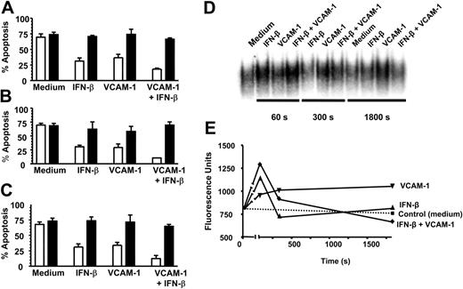 Figure 5. VCAM-1-mediated rescue shares similar signaling pathways to IFN-β and activates NF-κB. Neutrophils were cultured for 18 hours in the absence (□) or presence of 20 μM PI3K inhibitor LY294002 (▪) with or without 1000 U/mL IFN-β, 10 μg/mL sVCAM-1, or both together (A); in the absence (□) or presence of 100 μg/mL NF-κB inhibitor SN50 (▪) with or without 1000 U/mL IFN-β, 10 μg/mL sVCAM-1, or both together (B); and in the absence (□) or presence of 1 μg/mL cycloheximide (▪) with or without 1000 U/mL IFN-β, 10 μg/mL sVCAM-1, or both together (C). Apoptosis was measured by DiOC6 staining; mean ± SD of 3 separate experiments. (D) NF-κB activation was measured and (E) quantified (see “Materials and methods”) following the exposure of neutrophils to medium alone, 1000 U/mL IFN-β, 10 μg/mL VCAM-1, or both together after 60, 300, and 1800 seconds.