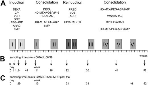 Figure 1. Scheme of treatment and bone marrow sampling time points. (A) Schematic representation of GMALL 06/99 SR first-year treatment. (B) Bone marrow sampling time-points in the GMALL 06/99 trial. (C) Bone marrow sampling time-points in the GMALL 05/93 MRD pilot trial (time-points synchronized according to the treatment phase). ADR indicates adriamycine; CP, cyclophosphamide; DEXA, dexamethasone; DNR, daunorubicine; (HD)-ARAC, (high-dose) cytarabine; (HD)-MTX, (high-dose) methotrexate; 6MP, mercaptopurine; PEG-ASP, PEG-asparaginase; PRED, prednisolone; TG, thioguanine; VCR, vincristine; VDS, vindesine; VM26, tenisposide; and VP16, etoposide. Specifics of drugs and doses used in the main GMALL 06/99 treatment protocol. Induction I (including preinduction treatment): 10 mg/m2 DEXA orally on days 1-5, 11-14; 200 mg/m2 CP intravenously on days 1-3 (CP part of Induction I protocol only until 2000); 1000 U/m2 PEG-ASP intravenously on day 18 (reduced dose intensity in patients older than 55 years); 2 mg VCR intravenously on days 4, 11, and 18; 45 mg/m2 DNR intravenously on days 4, 5, 11, and 12 (reduced dose intensity in patients older than 55 years); and 15 mg MTX intrathecally on day 1. Induction II: 1000 mg/m2 CP intravenously on days 1 and 21; 75 mg/m2 ARAC intravenously on days 3-6, 10-13, and 17-20; 60 mg/m2 6MP orally on days 1-21; 15 mg MTX intrathecally on days 3, 10, and 17. Consolidation I: 10 mg/m2 DEXA orally on days 1-5; 3 mg/m2 VDS intravenously on day 1; 1500 mg/m2 HD-MTX intravenously on day 1; 250 mg/m2 VP16 intravenously on days 4 and 5; and 2 × 2000 mg/m2 HD-ARAC intravenously on day 5. Consolidation II: 1500 mg/m2 HD-MTX intravenously on days 1 and 15; 500 U/m2 PEG-ASP intravenously on days 2 and 16; and 60 mg/m2 6MP orally on days 1-7 and 15-21. Reinduction I and II: 3 × 20 mg/m2 PRED orally on days 1-14; 3 mg/m2 VDS intravenously on days 1 and 7; 50 mg/m2 ADR intravenously on days 1 and 7; intrathecal triple chemotherapy with 15 mg MTX, 40 mg ARAC, and 4 mg DEXA intrathecally on days 1 and 15; 1000 mg/m2 CP intravenously on day 15; 75 mg/m2 ARAC intravenously on days 17-20, 24-27; and 60 mg/m2 TG orally on days 15-28. Consolidation III: see Consolidation II. Consolidation IV: 150 mg/m2 ARAC intravenously on days 1-5; 100 mg/m2 VM26 intravenously on days 1-5; and intrathecal triple therapy (see Reinduction) on day 1. Consolidation V: 1000 mg/m2 CP intravenously on day 1; 500 mg/m2 ARAC intravenously on day 1; intrathecal triple therapy (see Reinduction) on day 1. Consolidation VI: see Consolidation II; and intrathecal triple therapy (see Reinduction I) at week 52.