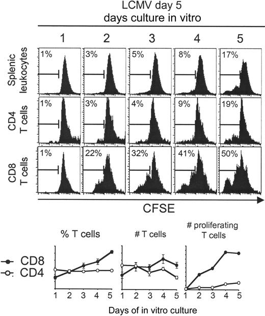 Figure 3. Splenic CD8 T cells derived from day 5 LCMV-infected mice continue to expand ex vivo. Total splenic leukocytes were prepared, CFSE-labeled, and cultured for 1 to 5 days. Histograms of CFSE dilution within electronically gated CD8 and CD4 populations are shown. The marker in the histogram shows percentage of proliferating cells based on CFSE dilution. The averages of different samples had SD between 0% and 2% for the splenic leukocytes, 0% and 5% for the CD4 T cells, and 0% and 4% for the CD8 T cells. Expressed on the graphs are percentages, as well as number of total and proliferating CD4 (○) and CD8 (•) T cells. The bars denote deviations of the means. The experiment has been repeated more than 2 times, obtaining similar results.