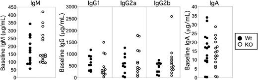 Figure 2. Baseline serum antibody levels are unperturbed in Stat3fl/flCD19Cre/+ mice. Preimmune serum was taken from Stat3fl/flCD19+/+ (Wt) and Stat3fl/flCD19Cre/+ (KO) mice and ELISAs were performed for baseline IgM, IgG1, IgG2a, IgG2b, and IgA secretion. • indicates Wt mice; ○, KO mice. Each circle represents one mouse.