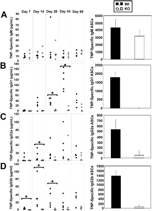 Figure 3. Selective impairment of TD IgG responses in Stat3fl/flCD19Cre/+ mice. TD antibody responses (left panels) and ASC formation (right panels) were assessed in Stat3fl/flCD19+/+ (Wt) and Stat3fl/flCD19Cre/+ (KO) mice immunized with TNP-CGG in CFA by TNP-specific ELISAs or ELISPOTs of splenocytes, respectively. (A) TD IgM antibody responses and ASC formation were equivalent between Wt and KO mice. TD IgG1 (B), IgG2a (C), and IgG2b (D) antibody responses and ASC formation were sharply diminished in KO mice. Filled symbols represent Wt mice; open symbols, KO mice. For TD antibody response data, each circle represents one mouse. TD ELISPOT data are representative of multiple experiments. Error bars represent SD. *P = .016 based on Mann-Whitney analysis.