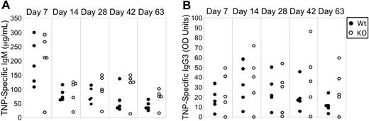 Figure 4. TI responses are unperturbed in Stat3fl/fl CD19Cre/+ mice. Stat3fl/flCD19+/+ (Wt) and Stat3fl/flCD19Cre/+ (KO) mice were immunized with TNP-Ficoll in PBS, and TNP-specific antibody responses were measured on the days indicated. TI TNP-specific IgM (A) or IgG3 (B) levels were equivalent between Wt (•) and KO (○) mice.