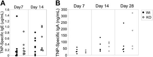 Figure 6. Isotype switching is not disrupted in Stat3fl/flCD19Cre/+ mice. Stat3fl/flCD19Cre/+ (KO) mice (○) were able to elicit equivalent TD IgE responses (A) and TD IgA responses (B) compared with Stat3fl/flCD19+/+ (Wt) mice (•) in response to TD Ag. Mice were immunized with TNP-CGG as before, except that for induction of IgE, alum was used instead of CFA.