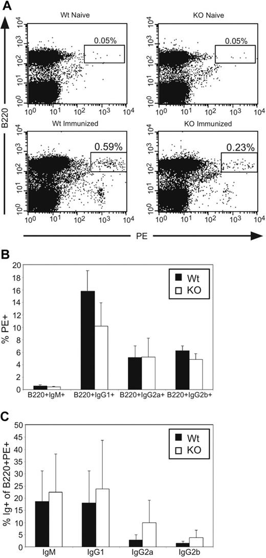 Figure 7. Stat3fl/flCD19Cre/+ mice are able to form IgG+ memory B cells. (A) Splenocytes from Stat3fl/flCD19+/+ (Wt) and Stat3fl/flCD19Cre/+ (KO) mice immunized with PE in CFA or naive controls were analyzed at least 2 months after immunization by flow cytometry for B220+PE+ cells. (B) Percentage of PE+ cells in the various B220+Ig+ subsets was calculated based on flow cytometric results for both PE-immunized Wt (▪) and KO (□) mice. (C) The percentage of IgM+, IgG1+, IgG2a+, or IgG2b+ cells in the B220+PE+ subset was calculated for both Wt and KO mice. Error bars represent the SEM of at least 2 experiments.
