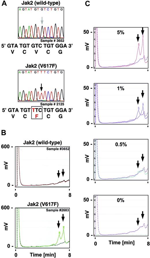 Figure 1. Identification of the Jak2V617F mutation by direct DNA sequencing and dHPLC analysis in polycythemia vera. RNA was isolated and cDNA was prepared from the chronic myelogenous leukemia (CML) cell line K562, the erythroleukemia cell line HEL, and peripheral blood from patients with polycythemia vera, obtained with informed consent and according to institutional protocol approved by the Department of Clinical Medicine at Mannheim University of Heidelberg, per the Declaration of Helsinki. (A) Chromatograms of peripheral-blood samples from patients with polycythemia vera after direct sequencing of the forward strand of a PCR-amplified V617 proximal region in Jak2 is shown. The arrows indicate the position of the base implicated in the V617F substitution. The bottom panels show the expected mRNA and protein sequence in Jak2 (wild-type) and Jak2 with the V617F substitution. (B-C) A V617 proximal region within Jak2 was amplified by PCR, digested by Surveyor enzyme, and subjected to dHPLC analysis. Test samples (solid line) were compared to a control sample (dashed line). The arrows indicate the expected retention of the fragments in the presence of the V617F mutation. Chromatograms of peripheral-blood samples from patients with polycythemia vera (B) or HEL-cell samples indicated as a relative percentage of cells in a mixture with K562-cell samples (C) are shown.