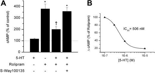 Figure 4. Serotonin inhibits naive T-cell production of cAMP. (A) Change in levels of cAMP in naive T cells in response to single or combined treatment as indicated with 5-HT (10 μM), the PDE-4 inhibitor, rolipram (30 μM), and the type 1 5-HT receptor inhibitor, S-Way 100135 (1 μM). Each data point is the mean (± SE) of 4 to 5 experiments (*P < .01 compared with control; †P < .05 compared with other rolipram groups by ANOVA). (B) Dose-response relationship for inhibition of cAMP by 5-HT in T cells pretreated with rolipram. The smooth line is the fit to a Hill equation.