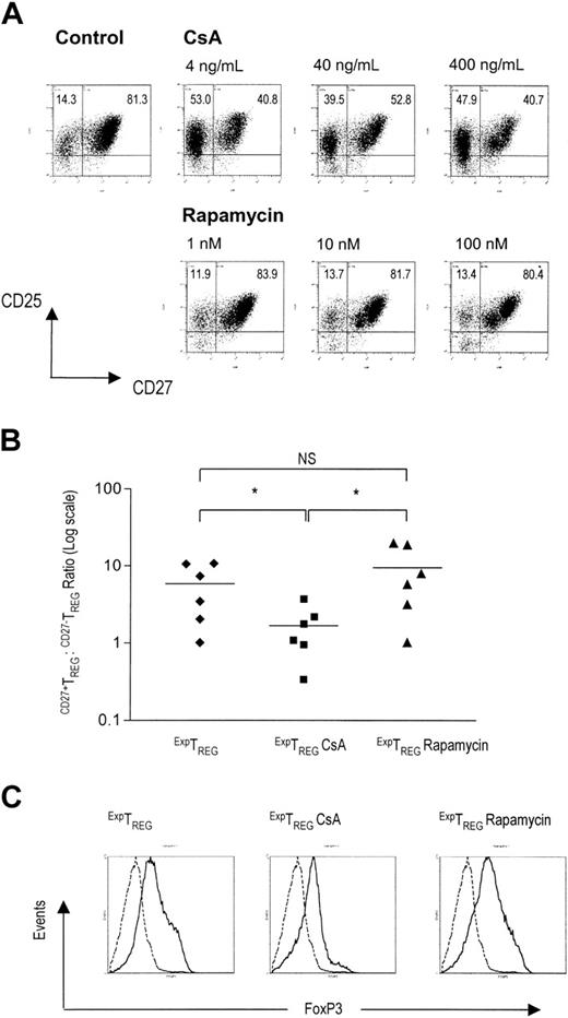 Figure 4. Rapamycin preserves a high CD27+TREG/CD27-TREG ratio. (A) The expression of CD25 and CD27 on CD4+CD25+ TREG expanded in the absence or presence of CsA or rapamycin was measured by flow cytometry. Freshly isolated CD4+CD25+ T cells (2.5 × 104) were stimulated with 1 × 105 γ-irradiated (30 Gy) allogeneic PBMCs and additional IL-2 and IL-15. CsA and rapamycin were added at the start of primary MLR at indicated concentrations. Cells were harvested at day 7, washed, rested, and analyzed for CD25 and CD27 expression at day 10 of culture. Dot plots show CD25 and CD27 expression of live-gated cells. One representative experiment of 3 independent experiments is shown. (B) CD27+TREG/CD27-TREG subset ratios (y axis) within the CD25+ fraction were calculated for the ExpTREG pool, the ExpTREG CsA pool (cultured with 400 ng/mL CsA), and the ExpTREG rapamycin pool (cultured with 100 nM rapamycin). The results of 6 independent experiments are shown. *P < .05 for difference between groups. (C) The intracellular expression profile of FOXP3 in the ExpTREG pool, the ExpTREG CsA pool (cultured with 400 ng/mL CsA), and the ExpTREG rapamycin pool (cultured with 100 nM rapamycin) was determined by flow cytometry. Histograms show intracellular FOXP3 expression of live-gated cells. Dotted line indicates CD4+CD25- cells; solid line, CD4+CD25+ cells.