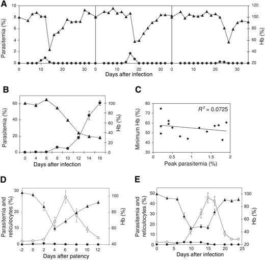 Figure 1. Severe malarial anemia at low parasite burden in rodent malaria infections. (A) Representative data from 3 infected semi-immune BALB/c mice showing parasitemia (•) and Hb levels (▴) following infection with 104 P berghei. (B) Parasitemia (•) and Hb levels (▴) of naive inoculum control BALB/c mice. (C) Lack of correlation between peak parasitemia and minimum Hb levels in infected semi-immune mice. (D) Parasitemia (•), reticulocyte levels (○), and Hb (▴) of semi-immune mice normalized to the day of patency. (E) Mean parasitemias (•), reticulocyte levels (○), and Hb (▴) in naive adult rats infected with P berghei. n = 14 ± SEM for immune mice; n = 6 ± SEM for naive mice and naive rats.