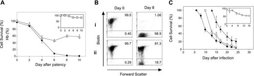 Figure 3. Accelerated RBC turnover during severe malarial anemia. (A) Survival of the circulating RBC population biotinylated on the day of patency in semi-immune mice infected with P berghei (▪) and Hb levels (▵). Basal turnover of biotinylated RBCs in noninfected mice is shown in inset (□). Cell survival was monitored by flow cytometry and is expressed as a percentage change in total number of initial biotinylated RBCs. n = 4 ± SEM. (B) Representative flow cytometry profile of biotinylated RBCs in (i) an infected semi-immune mouse and (ii) naive resting control mouse on days 0 (day of labeling) and 8 after patency. (C) Survival of circulating RBC populations in naive rats, biotinylated on day 6 (•), day 10 (□), and day 13 (▴) after patency. Basal turnover of biotinylated RBCs in uninfected rats is shown in inset (○). Cell survival was monitored by flow cytometry and is expressed as a percentage change in total number of initial biotinylated RBCs. n = 3 ± SEM per group.