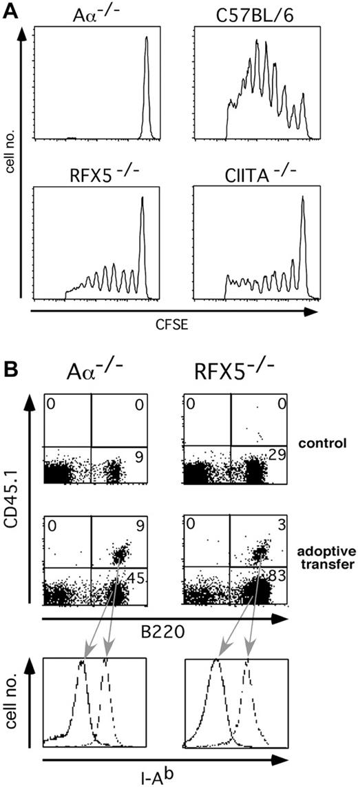 Figure 1. Adoptive transfer of T and B cells into mouse models of BLS. (A) Proliferation of CFSE-labeled Vα3+ T cells from 2D2 TCR transgenic mice after adoptive transfer into RFX5-/-, CIITA-/-, Aα-/-, and C57BL/6 mice and immunization with MOG p35-55. The histogram analysis of CFSE fluorescence of CD4+Vα3+PI- lymphocytes is shown. (B) Survival of CD45.1+ B cells after transfer into Aα-/- or RFX5-/- hosts. The dot plots show B220 and CD45.1 expression of non-B-cell marker-negative splenocytes 3 weeks after transfer. The histogram analysis depicts the I-Ab expression of the indicated populations. The number in each quadrant represents the percentage of cells in that quadrant.