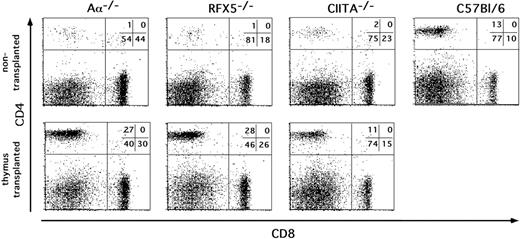 Figure 2. Th-cell reconstitution in MHCII-deficient mice after thymic transplantation. Thymic lobes from embryonic day 14 (e14) C57BL/6 embryos were transplanted under the kidney capsule of Aα-/-, RFX5-/-, and CIITA-/- mice. Nine weeks after transplantation, inguinal LN cells of mice that underwent transplantation and control mice were analyzed for CD4 and CD8 expression by flow cytometry. The percentage of cells in the indicated quadrants is given in the top right corner of each dot plot. The CD4/CD8 ratio was calculated for each mouse and is shown in Table 1. The results are representative of several experiments performed.