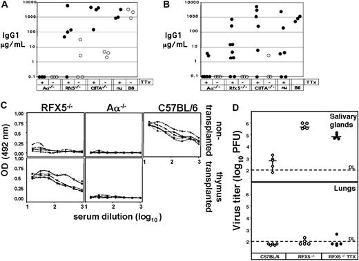 Figure 3. Th-cell-dependent immune responses in mice that underwent thymus transplantation. Aα-/-, RFX5-/-, CIITA-/-, or C57BL/6nu/nu mice received e14 thymi (TTX) either without further treatment (A,C-D) or after irradiation/2′-deoxyguanosine treatment (B). (A-B) Ten weeks after transplantation, the mice were immunized with NP-CG and boosted 3 weeks later. Blood was taken 3 weeks after the boost and analyzed for NP-specific IgG1. ○ indicates control mice; •, mice that underwent thymus transplantation. (C-D) MCMV-specific immune responses. Groups of 5 C57BL/6, RFX5-/-, and RFX5-/- mice that underwent thymus transplantation were infected with MCMV 6 months after transplantation, and viral titers were determined in salivary glands 3 weeks after infection. (C) IgG serum titers of MCMV-specific antibodies in RFX5-/-,Aα-/-, and C57BL/6 mice that did not undergo transplantation and RFX5-/- or Aα-/- mice that underwent thymus transplantation (TTX). OD indicates optical density. (D) Clearance of MCMV in salivary glands and lungs. PFU indicates plaque forming units. ⋄ indicates C57BL/6 mice; ○, RFX5-/- control mice; and •, RFX5-/- mice that underwent thymus transplantation.