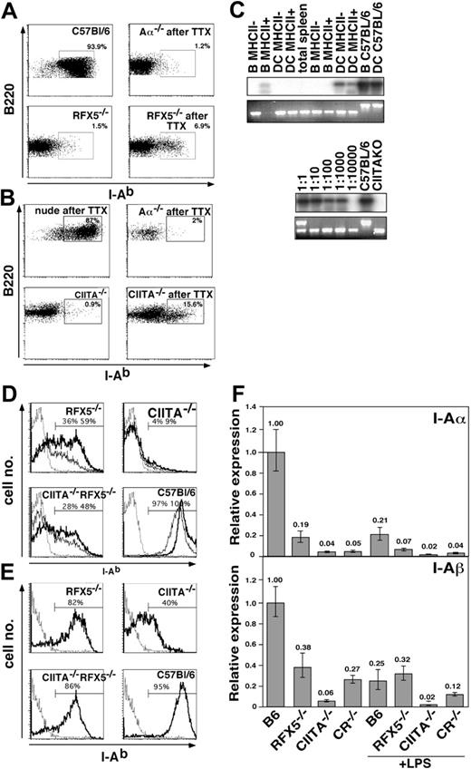 Figure 6. Induced MHCII expression in vivo and in vitro. (A-B) LN cells of Aα-/-, RFX5-/-, and CIITA-/- mice that did (TTX) and did not undergo transplantation and control C57BL/6 mice were analyzed for I-Ab, B220, and CD11c expression. The dot plots show I-Ab expression on gated B220+CD11c- cells. The percentage of MHCII+ cells is indicated in the respective windows. Parts A and B are from independent experiments. (C) I-Ab-expressing and I-Ab-negative B cells and DCs of CIITA-/- animals that underwent transplantation were sorted by FACS, and the genotype of the cells was assessed by a 3-point PCR for the WT allele (bottom row, top band) and KO allele (bottom row, bottom band). The products of the PCR reaction using primers for only the WT fragment were hybridized with a CIITA-specific probe (top row). Shown are results from 2 independent sorting experiments (left). The PCR reactions were standardized based on cell number, and the sensitivity of amplification was determined by dilution of WT cells in cells from CIITA-/- animals at ratios of 1:1 to 1:10 000 as indicated (right). (D) Splenocytes of Aα-/-, RFX5-/-, CIITA-/-, CR-/-, and C57BL/6 mice that did not undergo transplantation were cultured O/N in the presence (bold line) or absence (thin line) of anti-CD40. The histograms show I-Ab expression on CD19+ cells of the indicated mouse strains. The Aα-/- control is shown as a dotted line in each histogram. (E) Collagenase-digested spleen cells of the same mouse strains as shown in panel D were incubated O/N in medium without additional stimuli. Cells were stained with anti-CD11c and anti-I-Ab and gated on CD11c+ DCs. Percent of MHCII+ cells in the indicated gates is given in the figure. The Aα-/- control is shown as dotted line. (F) The expression of I-Ab α- and β-chain in magnetically purified splenic B cells of the indicated mouse strains was analyzed by qRT-PCR after overnight culture in the presence or absence of 10 μg/mL LPS. Analysis of β-actin expression was used for standardization. Shown are expression levels relative to the ones of untreated B cells from C57BL/6 mice. The error bars indicate the standard deviation. LPS indicates lipopolysaccharide.