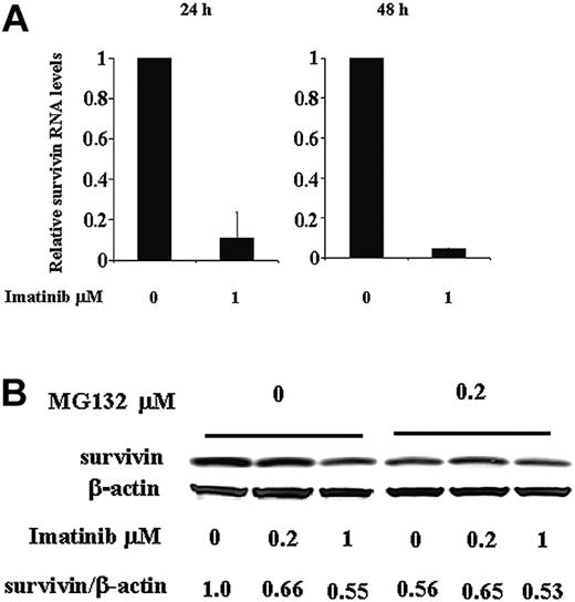 Figure 2. Regulation of survivin expression by imatinib at both RNA and protein levels in Ph+ KBM5 cells. (A) Survivin RNA levels in KBM5 cells treated with 1 μM imatinib determined by TaqMan RT-PCR at 24 and 48 hours. (B) Survivin protein levels at 24 hours in KBM5 cells treated with 1 μM imatinib in the presence or absence of proteasome inhibitor MG132.
