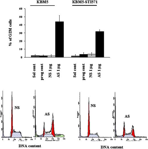 Figure 5. G2M cell-cycle block induced by survivin down-regulation in KBM5 and KBM5-STI571 cells. KBM5 and KBM5-STI571 cells were treated with Sur-AS-ODN and its control oligonucleotide Sur-NS-ODN. Cell-cycle distribution was analyzed at 48 hours after PI staining. Sol cont indicates solution T control; prog cont, nucleofection program K17 control; NS, Sur-NS-ODN control; AS, Sur-AS-ODN.