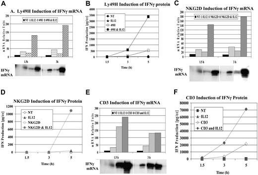 Figure 1. Synergy of IFN-γ induction by ITAM-bearing receptors. Liver lymphocyte receptor cross-linking was performed with anti-Ly49H (3D10) (A-B), anti-NKG2D (3A10) (C-D), and anti-CD3 (500A2) (E-F). IFN-γ mRNA (A,C,E) and protein (B,D,F) expression were evaluated at 1.5, 3, and 5 hours. RPA evaluation of IFN-γ mRNA was normalized to control GAPDH. Values are representative of 3 experiments.