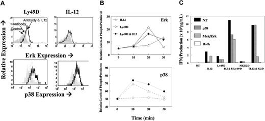 Figure 7. Analysis of MAP kinases. NK cells stimulated through their NKRs in the presence or absence of IL-12. (A) Flow cytometry analysis of phospho-ERK or p38 when cells were unstimulated (shaded histogram) or stimulated through Ly49D alone (dotted histogram) or with IL12 (heavy-line histogram). (B) Kinetic changes in phospho-ERK and phopho-p38 in cells stimulated with IL-12 only (▵), with anti-Ly49D (○) alone, or in combination with IL12 (•). (C) IFN-γ production from fresh liver NK cells 16 hours after stimulation with IL-12, NKR, or their combination. Cells were stimulated after no treatment (NT; ▪) or in the presence of the p38 inhibitor (SB203580, ), the ERK inhibitor (U0126, ), or both ().