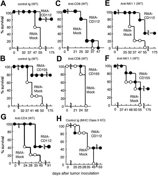 Figure 2. Rejection of DNAM-1 ligand-expressing RMA tumor cells. Groups of 5 C57BL/6 mice were pretreated with control immunoglobulin or mAbs indicated at days -1, 1, 8, 15, and 22. The mice were inoculated subcutaneously in the back at day 0 with 1 × 105 mock-transduced RMA tumor cells (○) or Cd112- or Cd155-transduced RMA tumor cells (•). Survival data for 5 mice per group are shown.