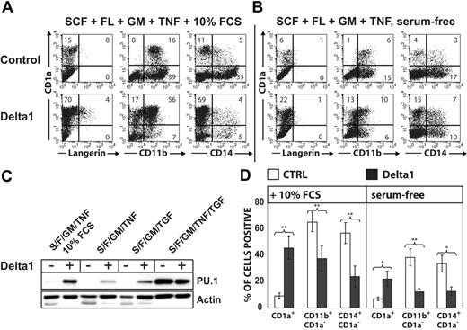 Figure 2. Delta-1ext-IgG induces PU.1 and redirects monocyte to CD1a+ DC development. CD34+ cord-blood cells were stimulated in 10% FCS (A) or in serum-free medium (B) supplemented with the basic cytokine combination SCF/Flt3L/GM-CSF. Basic cytokines were further supplemented with TGF-β1 or TNFα as indicated. FACS diagrams show the phenotype of cells stimulated with plate-bound Delta-1ext-IgG or control. Cells were harvested at day 7, and bivariate analyses for CD1a versus Langerin, CD11b, or CD14 are displayed. Numbers in quadrants indicate the percentage of cells in that quadrant. (C) The Western blot shows endogenous PU.1 versus actin control of cells stimulated with the indicated cytokines with or without Delta-1ext-IgG. Data are representative of 3 experiments. S indicates SCF; F, Flt3L; GM, GM-CSF; TNF, TNFα; and TGF, TGF-β1. (D) Bars represent mean percentages ± SEM of the indicated cell populations without or with Delta-1ext-IgG. The differences between values were significant at *P < .05 and **P < .01 (paired 2-tailed t test; n = 5 independent experiments for CD1a+ and CD11b+CD1a- and n = 4 independent experiments for CD14+CD1a-).