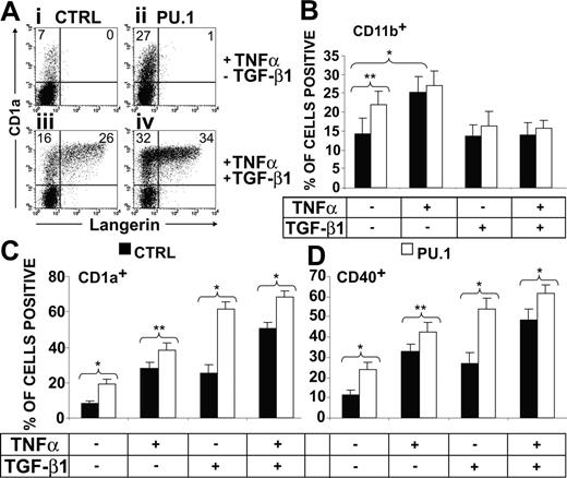 Figure 4. Ectopic PU.1 strictly requires TGF-β1 stimulation to promote LCs in serum-free medium. CD34+ cord-blood cells were transduced with PU.1-IRES-GFP or empty control vector and then stimulated in serum-free medium supplemented with the basic cytokine combination SCF/Flt3L/GM-CSF with or without TNFα and/or TGF-β1 as indicated. (A) FACS diagrams show representative GFP+ cells analyzed for Langerin versus CD1a. Numbers in each quadrant indicate the percentage of cells in that quadrant. Bar diagrams show the percentages (± SEM) of generated cells expressing the indicated marker molecules: (B) CD11b; (C) CD1a; and (D) CD40. Cells were harvested and analyzed at day 7 after culture initiation. FACS diagrams are representative of 9 experiments. Bars represent mean values (± SEM) of 9 independent experiments. The differences between values indicated were significant at *P < .05 and **P < .01 (paired, 2-tailed t test).