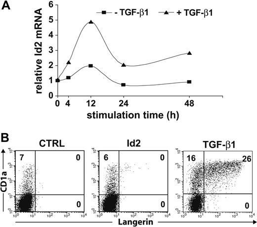 Figure 5. Id2 is induced by TGF-β1 costimulation in LC progenitors, but ectopic Id2 is not sufficient to substitute for TGF-β1. (A) Relative Id2 mRNA levels in CD34+ progenitors stimulated with SCF, Flt3L, GM-CSF, and TNFα ± TGF-β1 for the indicated time points determined by real-time PCR. Values were normalized to GAPDH expression and compared with Id2 mRNA levels in unstimulated cells (0 h). One representative of 3 independent experiments is shown. (B) CD34+ cord-blood cells were transduced with Id2-IRES-GFP or empty control vector and then stimulated in serum-free medium supplemented with the cytokine combination SCF/Flt3L/GM-CSF/TNFα with or without TGF-β1 as indicated. Day-7-generated Id2-transduced (center diagram, without TGF-β1) or control-transduced (left: without TGF-β1, right: with TGF-β1) cultures are compared. GFP+ cells were gated in a separate FACS diagram (not shown) and were further analyzed for the expression of Langerin versus CD1a. One representative of 5 independent experiments is shown. Numbers in each quadrant indicate the percentage of cells in that quadrant.