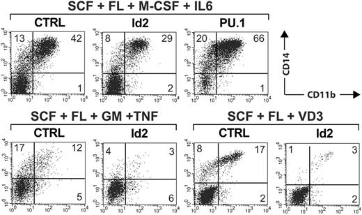 Figure 6. Ectopic expression of Id2 inhibits monocyte generation. CD34+ cord-blood cells were transduced with vectors encoding Id2-IRES-GFP or PU.1-IRES-GFP and were then stimulated in serum-free medium supplemented with cytokines as indicated. Vitamin D3 (VD3) was added as indicated. Cells were harvested at day 7 and stained for CD11b versus CD14. GFP+ cells were gated in a separate FACS diagram (not shown). Representative CD11b versus CD14 analyses of gated GFP+ cells (Id2-IRES-GFP, empty control vector, or PU.1-IRES-GFP) are shown (top: SCF/Flt3L/M-CSF/IL-6; bottom left: SCF/Flt3L/GM-CSF/TNFα; bottom right: SCF/Flt3L/vitamin D3). The data are representative of 3 independent experiments. The number in each quadrant indicates the percentage of cells in that quadrant.