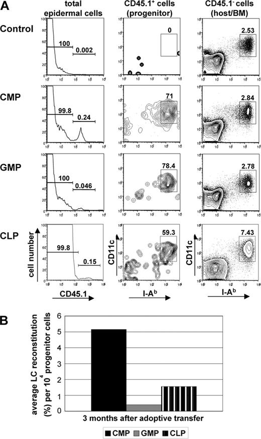 Figure 3. Progenitor-derived LCs persist in the skin. Epidermal cells were isolated from ears of chimeric mice 3 months after progenitor transfer. (A) Histograms in left panel show CD45.1 expression profile of total epidermal cells derived from CD45.2 mice reconstituted with either 104 CD45.1 CMPs, 4 × 104 GMPs, or 104 CLPs. Contour plots show CD11c/I-Ab expression profile of gated donor (CD45.1+) or host-derived (CD45.1-) epidermal cells. Percentages of LCs derived from transplanted cells (CD45.1+) or host cells (CD45.1-) are indicated. (B) Chart shows average LC reconstitution (% of total LCs) obtained per 104 progenitor cells at 3 months after adoptive transfer. Data are representative of at least 3 transplantations per progenitor population with similar results.