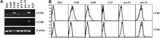 Figure 6. Chemokine receptor expression on progenitors does not correlate with LC generation potential. (A) RT-PCR analysis of CCR2 and CCR6 expression in purified progenitor populations and epidermal LCs. Actb primers acted as controls. Data are based on 2 experiments with similar results. (B) Histogram plots show CCR2 and CCR6 (bold lines) surface expression of progenitor populations. Dashed lines represent isotype control stainings. Data are representative of 2 experiments with similar results.