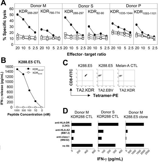 Figure 1. Recognition of human KDR-derived peptides by CD3+CD8+ CTLs generated from PBMCs of donors S, M, and P. (A) Cytotoxicity was determined in a 6-hour LDH release assay using T2 cells preincubated for 60 minutes with each peptide at 25 μg/mL (•). T2 alone (○), K562 (▵), and Daudi (□) cells were used as negative controls. Percentage of specific lysis is shown at different E/T ratios. (B) Dose-response recognition of KDR288-297 peptide by CTL clone K288.E5. Serial dilutions of KDR288-297 peptide were incubated with 5 × 104 T2 cells for 60 minutes, which were then used as target cells to stimulate T cells. Control peptide KDR82-90 was also used at various concentrations. This experiment was performed twice; results were similar each time. (C) Assessment of peptide-specific recognition of K288.E5 by HLA/peptide tetramer staining. CTLs specific for KDR288-297 peptide (K288.E5) or for Melan-A26-35 epitope (Melan-A CTL) were stained with FITC-anti-CD8 mAb and PE-HLA-A*0201 tetramers folded around either the KDR288-297 peptide (TA2.KDR) or a EBV/BMLF1-derived epitope (TA2.EBV). Data shown are representative of 2 independent experiments. (D) T-cell recognition of KDR288-297-pulsed T2 cells was specifically inhibited by mAbs against HLA class 1 and HLA-A2. Results are expressed as IFN-γ release (picogram per milliliter daily) from 2 × 104 K288.E5 CTLs. All antibodies were used at a final concentration of 20 μg/mL each.