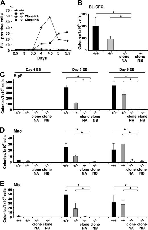 Figure 6. Hematopoietic differentiation of Klf6-/- ES cells is impaired. (A) Cell-surface expression of Flk1 was analyzed by FACS. EBs differentiated for 2.5 to 5.5 days were stained with antibodies to Flk1, and the percentages of Flk1-positive cells are plotted. Reduced Flk1 expression is evident not only in Klf6-/- ES cells (for up to 5 days), but also in Klf6+/- cells. (B) Cells from day-4 EBs were subjected to blast colony-forming assay. EBs were trypsinized and 1 × 105 cells were plated into methylcellulose cultures containing VEGF. Numbers of blast cell colonies were counted 4 days later. (C-E) Hematopoietic colony-forming assays from days 4, 5, and 6 EBs were performed. Cells from EBs were trypsinized and 1 × 105 cells were plated into methylcellulose cultures containing a mix of cytokines (“Materials and methods”). Numbers of EryP (C), Mac (D), and Mix (E) colonies were counted. Bars represent SD of colony counts from 3 independent cultures. *P < .05 (Student t test).
