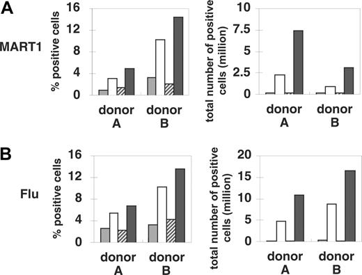 Figure 4. CD83L signaling enhances the expansion of antigen-specific CD8+ T cells. HLA-A2+ CD8+ T cells were stimulated by MART1 (A) or Flu (B) peptide-pulsed APCs (APC/A2, APC/A2/CD80, APC/A2/CD83, or APC/A2/CD80/CD83). After 3 rounds of antigen stimulation and IL-2/IL-15 addition in between the stimulations, the cultures were stained with the relevant tetramer to determine percentage of peptide-specific T cells. The number of peptide-specific T cells was determined by calculating the product of the total number of T cells and the percentage of tetramer-staining cells. Representative results from 4 different donors are presented. (A) Compared with APC/A2, large increases in the percentage and number of antigen-specific CD8+ T cells were observed when T cells were stimulated by MART1-pulsed APC/A2/CD80 (percentage, P = .017; number, P = .002) and APC/A2/CD80/CD83 (percentage, P = .009; number, P < .001), but not by APC/A2/CD83 (percentage, P = .48; number, P = .30). When compared with APC/A2/CD80, APC/A2/CD80/CD83 generates a significant increase in the percentage and number of MART1-specific T cells (percentage, P = .012; number, P = .003). indicates A2; □, A2/CD80; , A2/CD83; ▪, A2/CD80/CD83. (B) Likewise, when APCs are pulsed with Flu peptide, the percentage and total number of antigen-specific T cells was increased when T cells were stimulated by APC/A2/CD80 (percentage, P = .009; number, P = .01) and APC/A2/CD80/CD83 (percentage, P = .009; number, P = .023), but not by or APC/A2/CD83 (percentage, P = .32; number, P = .32). When compared with APC/A2/CD80, APC/A2/CD80/CD83 generates a significant increase in the percentage and number of Flu-specific T cells (percentage, P = .01; number, P = .035). indicates A2; □, A2/CD80; , A2/CD83; ▪, A2/CD80/CD83.