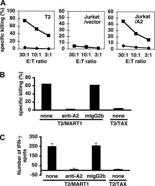 Figure 5. Effector function of MART1-specific CD8+ T cells. (A) MART1-specific cytotoxic CD8+ T cells generated by APC/A2/CD80/CD83 killed target cells in an HLA-A2-specific manner. Target cells (T2 and Jurkat cells transduced with vector or A2) were pulsed with MART1 peptide (▪) or control peptide (•). 11LLFGYPVYV19 peptide of the TAX of HTLV-I was used as a negative control peptide. (B) Blocking experiments were performed using HLA-A2-specific mAb (BB7.2) and isotype control (mIgG2b). Peptide-pulsed T2 cells were used at an E/T ratio of 30:1. (C) MART1-specific cytotoxic CD8+ T cells generated by APC/A2/C80/CD83 secreted IFN-γ in an antigen-specific manner. Error bars represent standard deviation (SD).