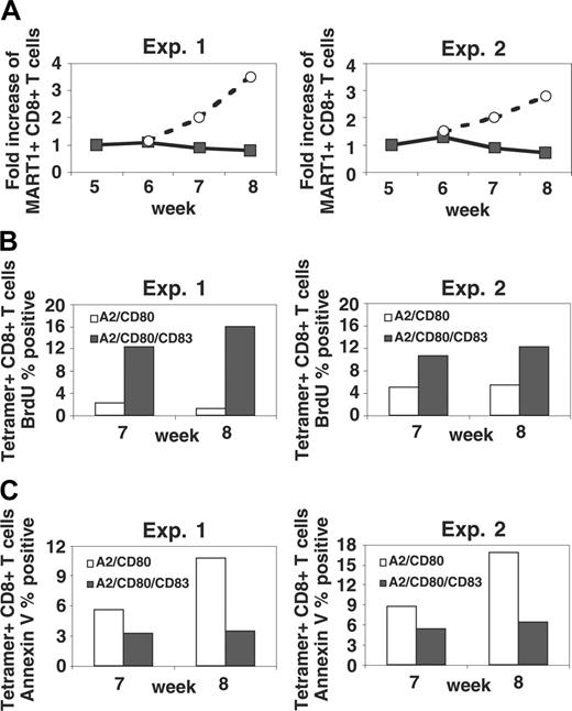 Figure 6. Stimulation with APCs that express CD83 enhances proliferation and inhibits apoptosis, permitting continued expansion of MART1-specific T cells beyond 6 weeks. (A) Following 5 rounds of stimulation with MART1 peptide-pulsed APC/A2/CD80, T-cell lines noted to cease expansion were split and subsequently stimulated with either peptide-pulsed APC/A2/CD80 (▪) or peptide-pulsed APC/A2/CD80/CD83 (○). Between the stimulations, IL-2 and IL-15 were added to the culture. Those T cells stimulated by peptide-pulsed APC/A2/CD80/CD83 demonstrated significant antigen-specific expansion, while those stimulated by peptide-pulsed APC/A2/CD80 did not (P = .006). (B) An increase in MART1-specific T-cell proliferation was determined by tetramer staining and BrdU incorporation. This was consistently observed in both donors tested at weeks 7 and 8. (C) Apoptosis was inhibited as determined by Annexin V staining. This was consistently observed in both donors tested at weeks 7 and 8. The proliferating (B) and apoptotic fractions (C) are shown as a percentage of MART1 tetramer-positive cells. Two experiments with different donors were performed.