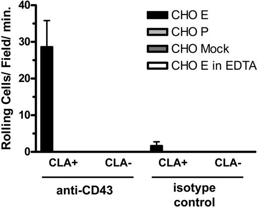 Figure 5. CLA+ CD43 displays E-selectin ligand activity in an antigen capture flow assay. Anti-CD43 mAb 1G10 (left) and isotype control Ab (right) bound to plastic were overlayed with lysates of cultured T cells. CHO-E cells (▪), but not CHO-P () or mock-transfected cells (), tethered and rolled on CD43 adsorbed from lysates of CLA+ T cells. No significant adhesion was observed on CD43 adsorbed from lysates of CLA- T cells or on isotype control substrates. CHO-E binding to CLA+ CD43 was abrogated in the presence of EDTA (□). Results shown are mean and SEM of 3 to 6 separate determinations on each substrate collected in 2 independent experiments.