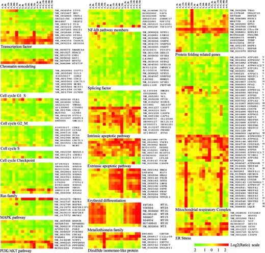 Figure 3. Functional classification of representative genes modulated by imatinib mesylate, ATO, and imatinib mesylate plus ATO. Functional feature of each gene is determined based on detailed literature reading (see references in Table S2). All the relevant genes are grouped by hierarchical clustering based on expression values (log2 ratios) across all the samples (Table S2). Log2 ratios are color coded as indicated. Detailed descriptions of important genes mentioned in the text are listed in the “Appendix.”