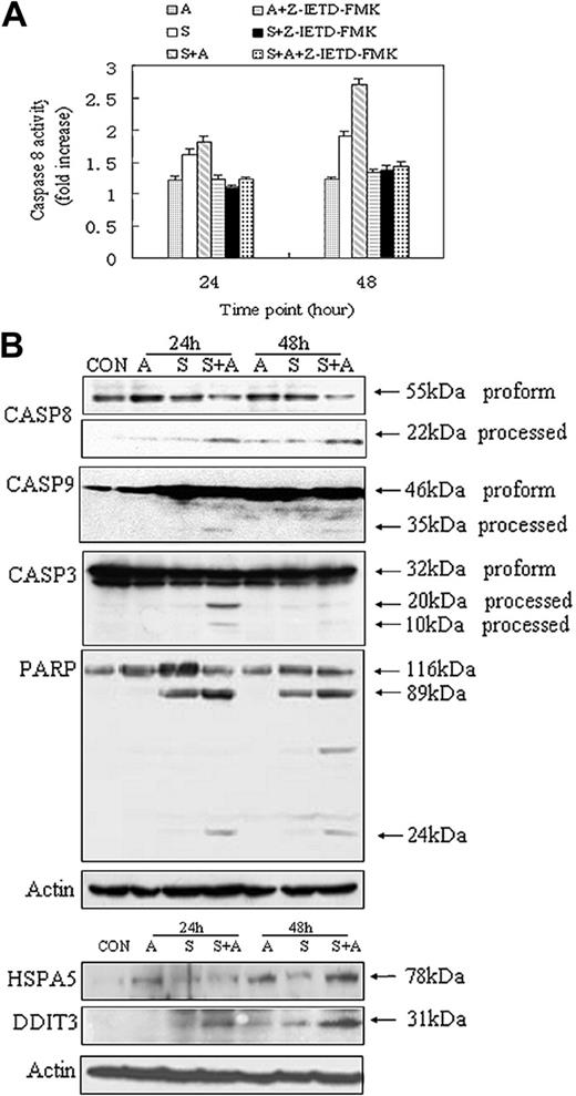 Figure 4. Evidence of protein biochemistry for the involvement of the intrinsic, extrinsic, and ER stress-mediated apoptosis. (A) Caspase-8 activity assays. Caspase-8 inhibitor Z-IETD-FMK was added into culture medium 30 minutes before drug treatment, as recommended by the manufacturer (R&D Systems). Data were obtained from 3 independent experiments. (B) Western blot analysis of caspases and marker molecules involved in the intrinsic, extrinsic, and ER stress-mediated apoptosis. Specific antibodies were obtained from commercial sources (see “Materials and methods”) and reacted with Western blots of cell lysates of the drug treatment series as indicated.