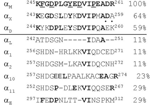 Figure 1. Amino acid alignment of the αMI-domain sequence Lys245-Arg261 with other integrin α subunit I-domains. The αMI-domain sequence was aligned with human αX, αD, αL, α1, α2, α10, α11, and αE using the National Center for Biotechnology Informatics (NCBI) database. Numbers on the right indicate the homology between αM (assigned a value of 100%) and other α subunits expressed as the percentage of identical residues (shown in bold). Dots above the αDI-domain sequence indicate residues homologous between αD and αM. Residues identified as critical for ligand binding in the αMI-domain13,14 are underlined.