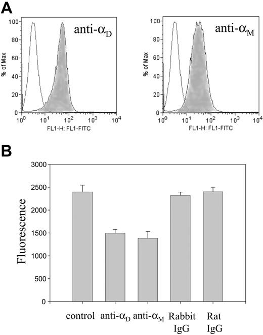 Figure 5. Expression of αDβ2 and αMβ2 on the surface of IC-21 macrophage cell line and their role in macrophage migration. (A) The level of αDβ2 and αMβ2 expression was assessed by flow cytometry with mAb 1/70, which recognizes mouse αMβ2, and polyclonal anti-αD antibody, which recognizes both human and mouse αD integrin subunits. Control cells are shown as open histograms. (B) IC-21 cells were analyzed for their ability to migrate to 10 μg/mL vitronectin either in the absence or in the presence of blocking polyclonal anti-αD and anti-αM mAb M1/70. Cells were preincubated with 2.5 μg/mL of each antibody for 20 minutes before their addition to the upper chamber of Transwell plates. In control samples, cells were pretreated with 2.5 μg/mL of each rabbit or rat IgG. Cells were allowed to migrate toward vitronectin for 18 hours at 37°C and the extent of cell migration was assessed as described in “Materials and methods.”
