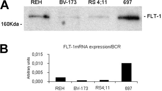 Figure 1. VEGFR-1 (FLT-1) expression level of the different ALL cell lines used in this study. The expression level was determined by Western blotting (A) and real-time quantitative PCR (B). The 697 cell line expresses the highest levels of FLT-1. All procedures are described in “Materials and methods.”