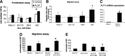 Figure 2. FLT-1 function in ALL cells. (A) Proliferation assays to test the mitogenic effects of PlGF stimulation of the 4 ALL cell lines used in this study. Results show cells that were stimulated for 24 hours with PlGF (10 ng/mL) in the presence of heparin and counted in triplicate experiments (using the trypan blue exclusion test). *PlGF induces a significant increase in cell proliferation in the 697 cell line (P < .05). (B) Transwell migration assay to test the chemotactic effects of PlGF on the 4 ALL cell lines used in this study. Results show the ratio of PlGF-induced cell migration/control cells (calculated from the mean cell number in 6 high power fields; HPF, × 400 magnification) after 4 hours of PlGF (10 ng/mL) stimulation. *697 migrated significantly more in the presence of PlGF (3 independent experiments; P < .01 for 697 cells). (C) RS4;11 cells were transfected with full-length FLT-1 to determine the result of FLT-1 overexpression in vitro and in vivo. FLT-1 mRNA expression, as determined by real-time PCR. Note the increased expression of FLT-1 mRNA in FLT-1-transfected cells (RS4;11 FLT-1T). (D) Transwell migration assay was performed with nontransfected RS4;11 and those transfected with full-length FLT-1, in the presence of VEGF (30 ng/mL) for 4 hours. Results are shown as the mean cell number in 6 HPF (× 400 magnification) and demonstrate that RS4;11 FLT-1T cells migrate significantly more in the presence of VEGF than their untransfected counterparts (*3 independent experiments; P < .05). (E) Migration assay to demonstrate the transfected full-length FLT-1 modulates cell migration. Results show RS4;11 FLT-1-transfected cells exposed to VEGF (30 ng/mL) for 4 hours, alone or in the presence of the FLT-1-neutralizing Ab, 6.12 (1 μg/mL). *VEGF-induced RS4;11 FLT-1T migration is significantly reduced in the presence of the 6.12 Ab (3 independent experiments, P < .05), demonstrating the transfected receptor is functional and modulates cell migration. Error bars depict the standard error of the mean.