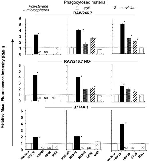 Figure 1. Macrophage-mediated phagocytosis is modulated by HSPs. The ability of macrophage cell lines (as indicated) to phagocytose either Alexafluor-labeled inert microspheres or S cerevisiae or E coli in the absence or presence of each of the HSPs indicated (HSP70, HSP90, or gp96) or serum albumin (MSA) was tested in vitro. HSP-mediated phagocytosis was quantified by measuring the internalized fluorescence measured by FluorImager SI, and relative mean fluorescence intensity (RMFI) was compared between the treatment groups (as indicated). All the treatment groups were compared with medium alone using the Student t test, and significance was denoted by P < .01. The error bar represents 1 SD. The results shown are a cumulative analysis of 3 experiments, 3 wells/group. *P < .05 when compared to medium.