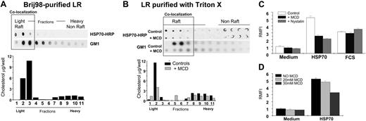 Figure 4. HSP70-macrophage interaction occurs on the lipid raft microdomain of macrophage plasma membranes. (A) Macrophages treated with exogenous HRP-labeled HSP70 (100 μg/mL, at 4°C) were washed, lysed with MBS buffer with 1% Brij98. Further fractionation using a sucrose gradient into lipid rafts (LR) (light fractions) or non-LR (heavy fractions) microdomains was undertaken. These fractions were tested by using detecting HRP activity of HRP-HSP70 complexes (as indicated); the presence of GM1 by using HRP-cholera toxin-B (as indicated); and assayed for the amount of cholesterol. (B) Similar to the conditions in panel A macrophages were treated with HSP70-HRP, and the LR-fractions were purified using Triton X-100 (as indicated). These fractions were tested for the presence of HSP70 and GM1 and were assayed for the amount of cholesterol. Further, the ability of macrophages to bind HSP70 was tested in the presence of LR-disrupting drug MCD. Macrophages were treated methyl-β-cyclodextrin (MCD; 30 mM), washed with cold PBS, and then incubated with exogenous HRP-labeled HSP70 (100 μg/mL) for 30 minutes on ice. Subsequently, macrophages were processed for purification of LRs by using Triton X-100 and tested for the presence of HSP70 and GM1 and were assayed quantitatively for the amount of cholesterol. (C) The influence of the LR-integrity on HSP70-mediated phagocytosis was tested by treating macrophages with nystatin or MCD (both drugs disrupt LRs), and a phagocytosis assay was performed. Macrophages treated with FCS served as controls to assess the effects of LR-disrupting drugs on opsonic phagocytosis. The results shown are a cumulative analysis of 3 experiments, 3 wells/group. (D) RAW264.7 macrophages were treated with HSP70 (100 μg/mL) in the presence of varying doses of MCD (as indicated). Error bars indicate one standard deviation.