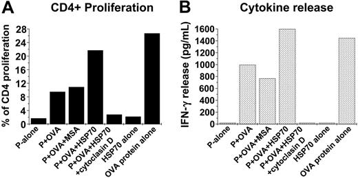 Figure 5. Increased HSP70-mediated phagocytosis enhances antigen presentation. (A) Yeast (S cerevisiae) was coated with ovalbumin (the whole protein) by coincubation at 37°C for 20 minutes. The complexes (Ova-coated yeast) were administered to macrophages treated with HSP70 (100 μg/mL) or control proteins in the presence or absence of cytochalasin-D. After 2 hours, the macrophages were washed, irradiated (to prevent macrophage-proliferation), and cocultured with CSFE-labeled CD4+ T cells purified from spleens of DO11.10 mice (I-Ad-restricted DO11.10 TCR-αβ-transgenic). (The DO11.10 strain is transgenic against a specific MHC-II epitope of ovalbumin protein.) Resultant CD4+ proliferation was measured using FACS as an indicator of the amount of the ovalbumin peptide presented in context of MCH-II antigen presentation. (B) Concurrent production of interferon γ (IFNγ) by the CD4+ T cells was quantified using ELISA as a measure of their effector function. The data shown represents 1 of 3 independent experiments.
