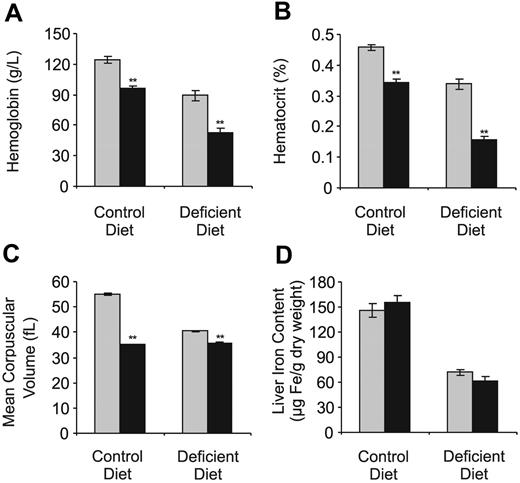Figure 1. Hematologic parameters and hepatic iron levels in hbd and wild-type mice. Hemoglobin concentrations (A), hematocrits (B), mean corpuscular volumes (C), and hepatic iron concentrations (D) were measured in 10- to 12-week-old wild-type (C57BL/6J; ) and hbd (▪) mice as described in “Assessment of hematologic parameters and hepatic iron levels.” Some animals were maintained on a diet of normal iron content (“Control Diet”) while others had been on an iron-deficient diet (“Deficient Diet”) from the time of weaning. The data represent the mean ± SEM (n = 5-10; *P < .05; **P < .01 for hbd mice relative to the wild-type group for each diet).