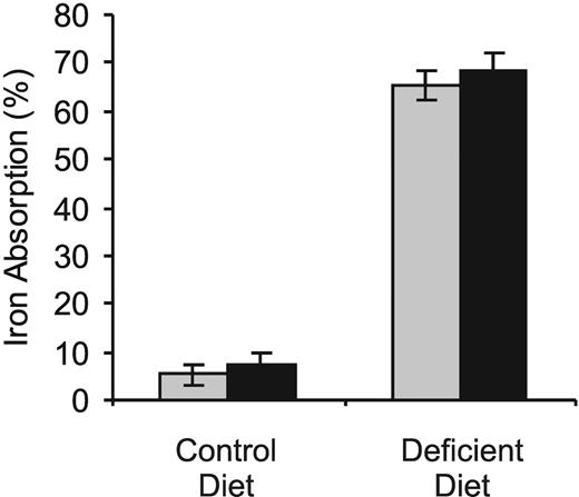 Figure 3. Iron absorption is normal in hbd mice. The absorption of iron in wild-type () and hbd (▪) mice on either a control or iron-deficient diet was determined following the oral administration of 59FeCl3. Whole-body counting for 59Fe was carried out 1 hour and 5 days after the dose, and absorption is expressed as the percentage of the initial dose retained by the animals after 5 days. The data represent the mean ± SEM (n = 3-7).
