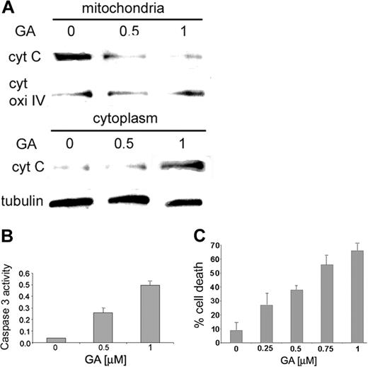 Figure 3. Cytochrome c release from the mitochondria and caspase 3 activity on treatment with GA. (A) RBL cells were exposed to increasing concentrations of GA (0, 0.5, 1 μM). Mitochondria were isolated, and cytochrome c was detected in the cytosolic and mitochondrial fractions by anti–cytochrome c antibody, as described in “Materials and methods.” Results of 1 of 3 representative experiments are shown. (B) RBL cells were exposed to increasing concentrations of GA (0, 0.5, 1 μM). Caspase 3 activity was determined by colorimetric product with absorbance at 405 nm. Results of 1 of 3 representative experiments are shown. (C) RBL cells were grown in 96 wells and exposed to increasing concentrations of GA (0, 0.25, 0.5, 0.75, 1 μM) for 15 hours. Cell viability was assessed by cell-viability assay, as described in “Materials and methods.” Data are represented as mean ± SE (n = 4). Results of 1 of 3 representative experiments are shown.