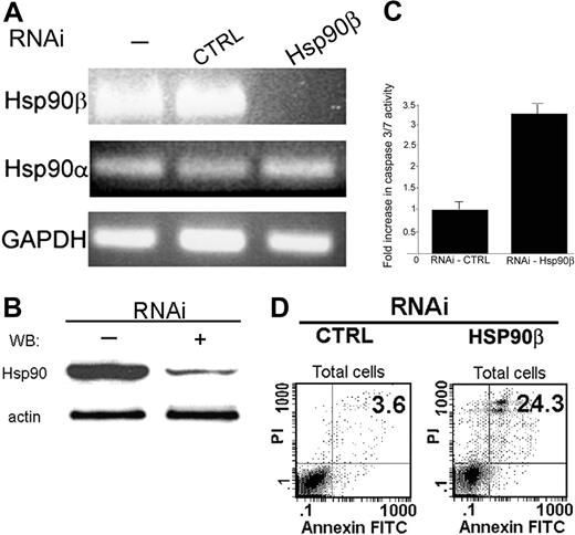 Figure 4. Effect of abolishing Hsp90β expression by RNAi on the antiapoptotic activity of Bcl-2. (A) After transduction with RNAi (96 hours), RNA was extracted from BMMCs, and mRNA levels of Hsp90α and Hsp90β were tested by PCR using specific primers, as described in “Materials and methods.” Results of 1 of 3 representative experiments are shown. (B) After transduction with RNAi (96 hours), whole-cell proteins from BMMCs were extracted, and the level of Hsp90 was tested by Western blotting using monoclonal antibody against Hsp90, as described in “Materials and methods.” Results of 1 of 3 representative experiments are shown. (C) After transduction (96 hours), the activity of caspases 3 and 7 was tested in RBL cells using a fluorometric assay, as described in “Materials and methods.” Data are represented as mean ± SE (n = 3). Results of 1 of 3 representative experiments are shown. (D) Effect of RNAi on BMMCs discriminated by annexin V–FITC and PI double stain. Seventy-two hours after lentiviral transduction, BMMCs were double stained with annexin V–FITC and PI and were analyzed by FACS, as described in “Materials and methods.” Representative dot plots of annexin V–FITC and PI staining are shown. The bottom left quadrant in each dot plot contains the vital (double-negative) population. The bottom right quadrant in each dot plot contains the early apoptotic (annexin V+, PI-) population.